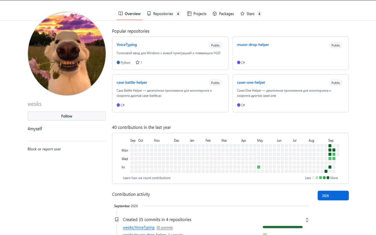Wesiks Repositories & Systems